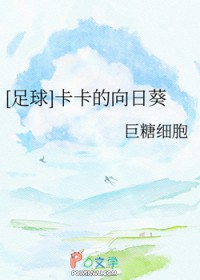 [足球同人] 卡卡的向日葵