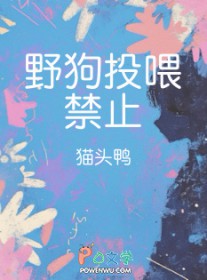 野狗投喂禁止