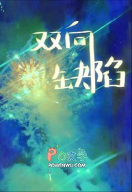 双向缺陷