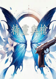 精灵与枪