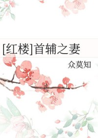 [红楼同人] 首辅之妻