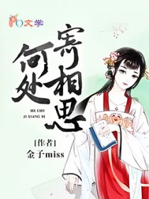 何处寄相思