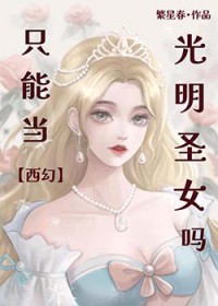 圣骑士决定