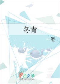 冬青
