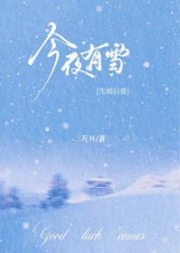 今夜有雪[先婚后爱]